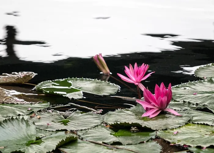 Appartement Marietta