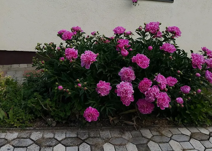 Appartement Marietta Hévíz